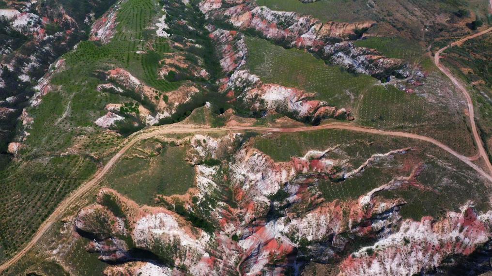 千城胜景｜内蒙古暖水乡：山地苹果孕育甜滋味