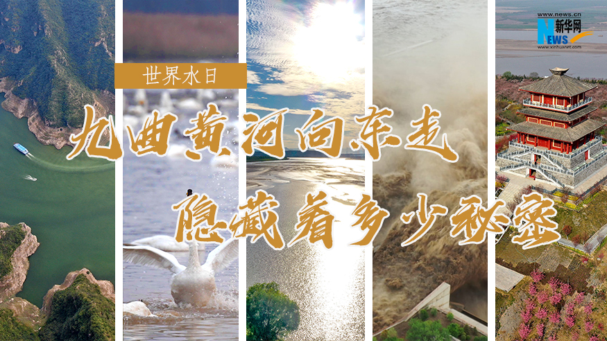 世界水日|九曲黃河向東走，隱藏著(zhù)多少秘密？